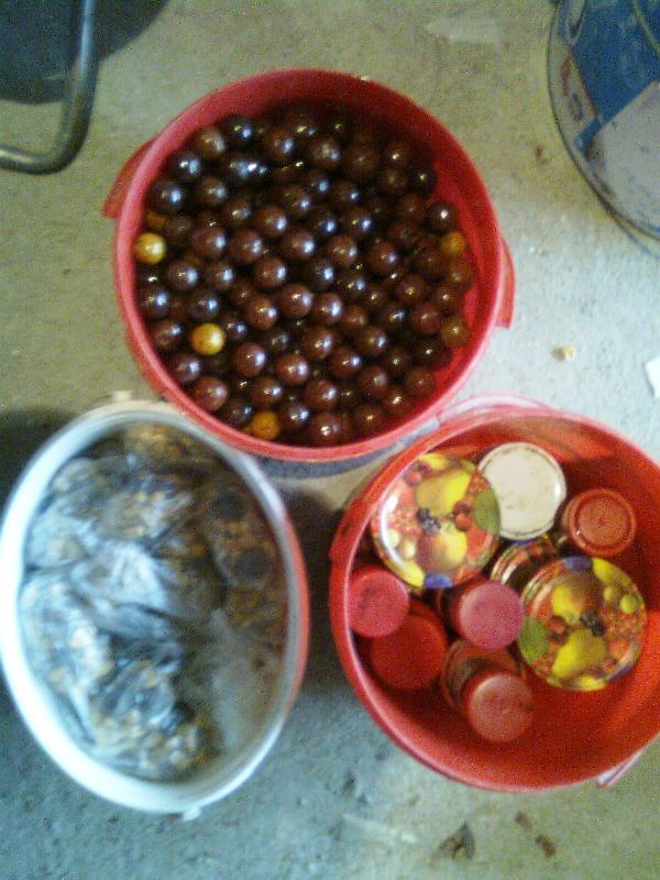 pentru delta - imagine0202.jpg